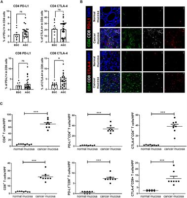 Prognostic significances of PD-L1- and CTLA-4-positive T cells and positive correlations of immunosuppressive marker expression between cancer tissue and peripheral blood in patients with gastric cancer